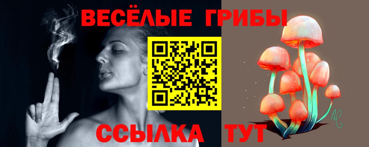 Старая Купавна  Псилоцибиновые грибы GOLDEN TEACHER  Вход с VPN 